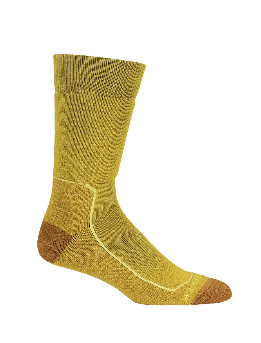 Men's Icebreaker Merino Hike+ Medium Crew Socks Silent Gold / Clove | CA 1925BEXC